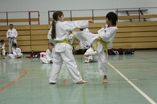 Einschrittkampf Gelb-Grün-Gurte