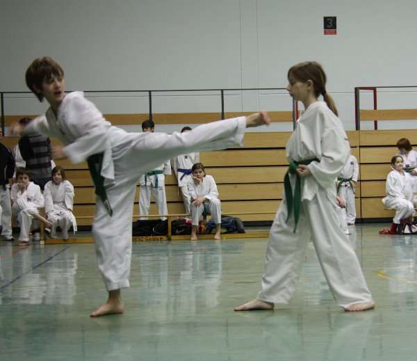 Einschrittkampf Grün-Gurte