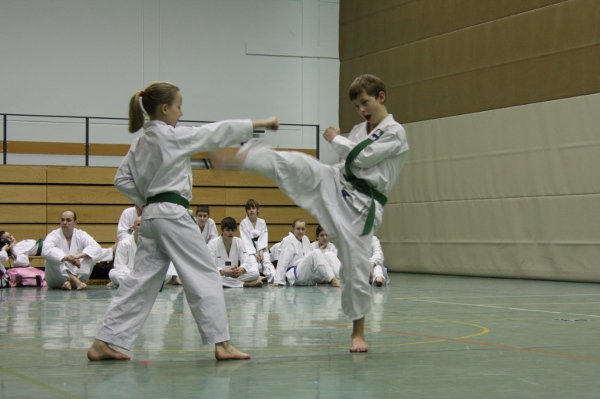 Einschrittkampf Grün-Blau-Gurte