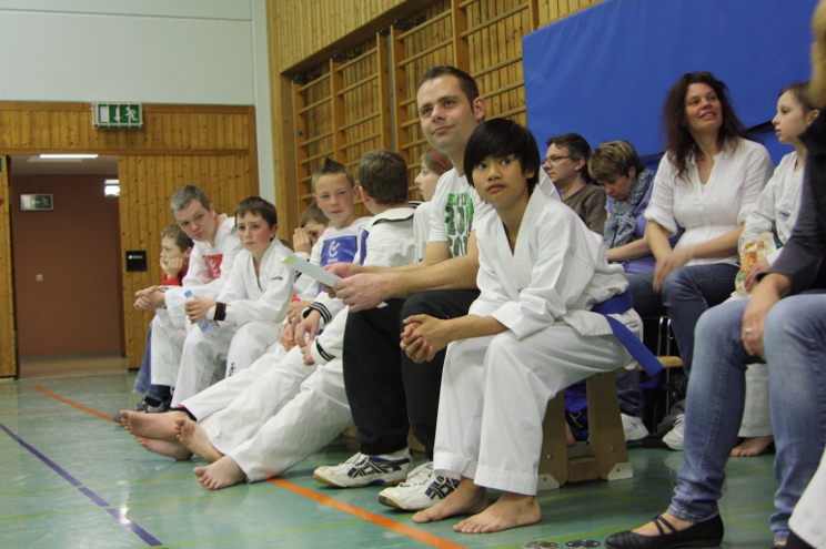 das Publikum das Publikum