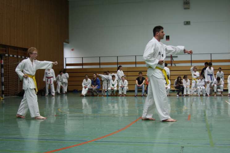 Prüfungsfach Poomsae: Taeguk Il-Jang