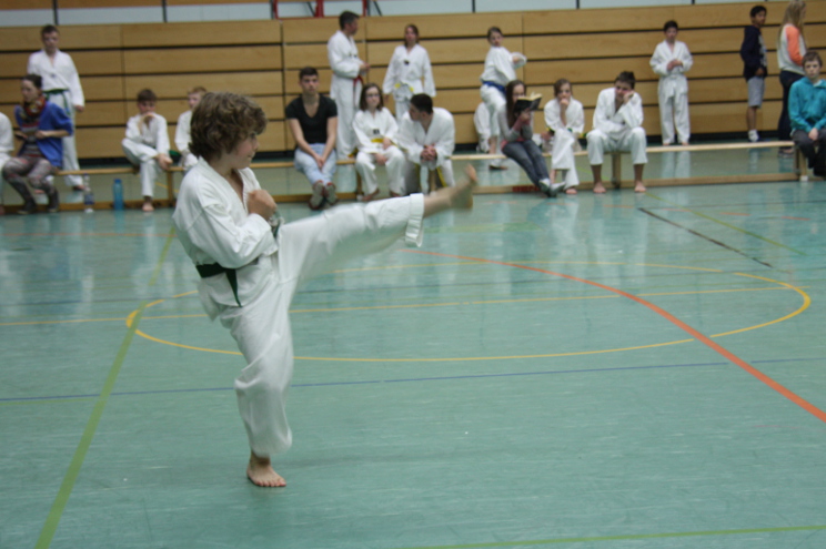 Prüfungsfach Poomsae: Ap Chagi