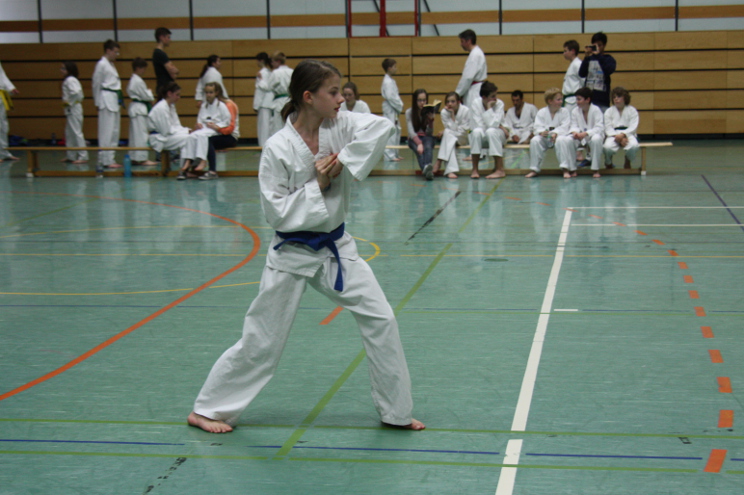 Prüfungsfach Poomsae: Palkup Chigi