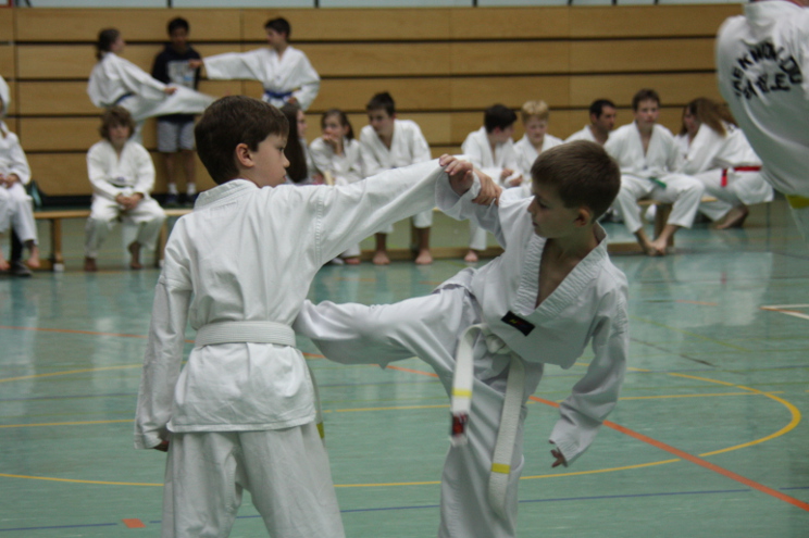 Prüfungsfach Selbstverteidigung